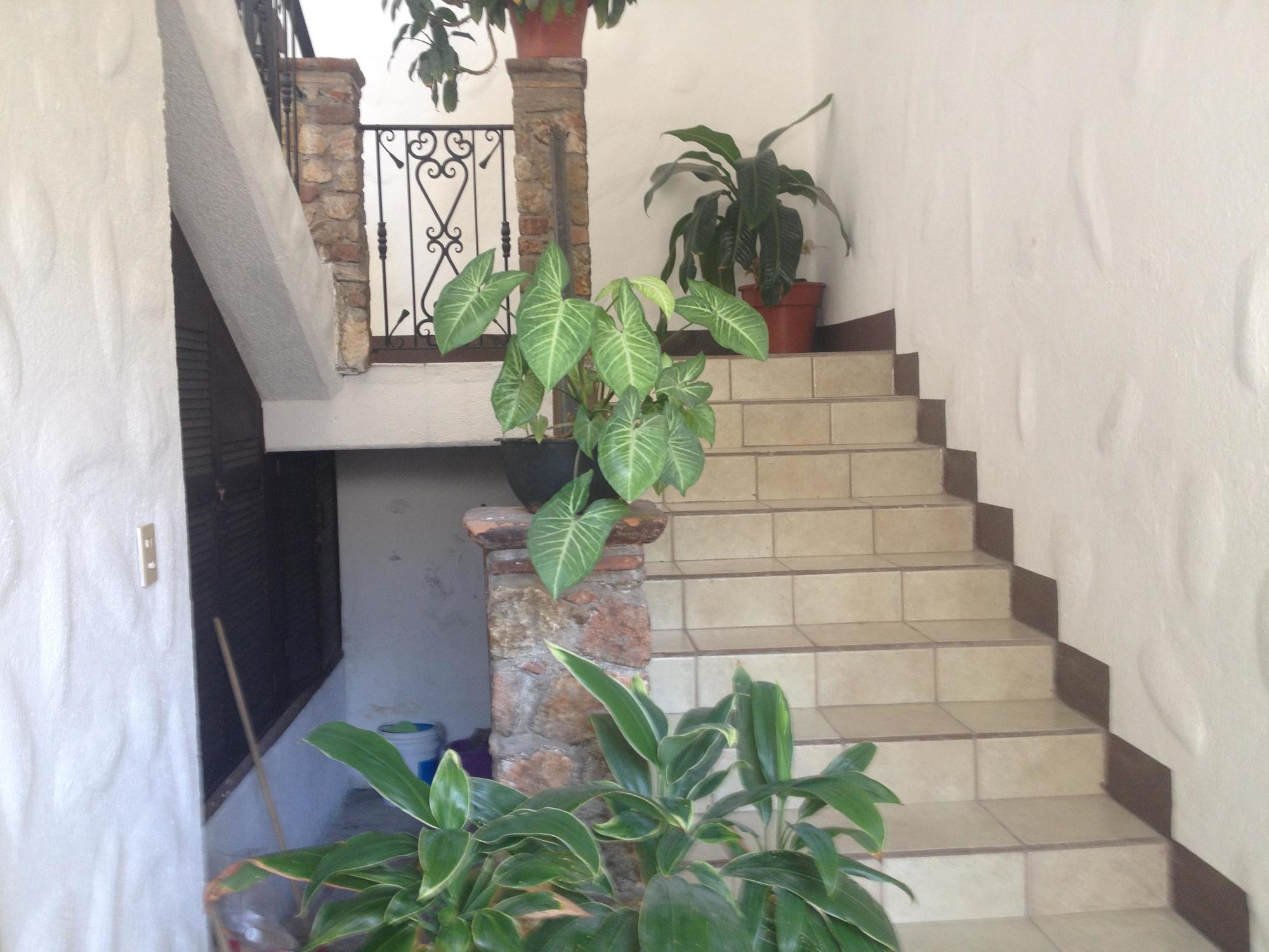Hotel Casa Vieja Puerto Escondido  Exterior foto